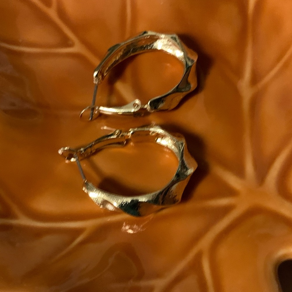 Hoop Earrings